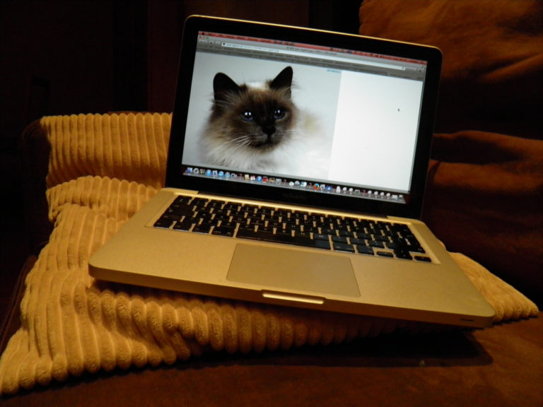 Taksówkarz ukradł dwa laptopy