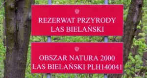 Tablica informacyjna przy ul. Dewajtis Rezerwat Las Bielański 2017 r foto Adrian Grycuk (źr. Wikipedia)