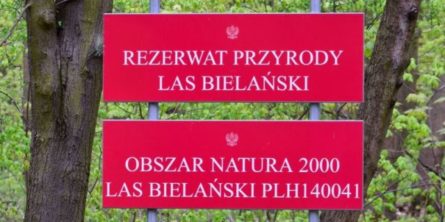 Tablica informacyjna przy ul. Dewajtis Rezerwat Las Bielański 2017 r foto Adrian Grycuk (źr. Wikipedia)